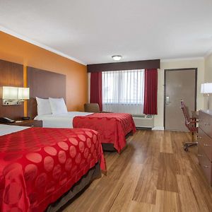 Executive King Room