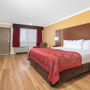 King Room Mobility accessible